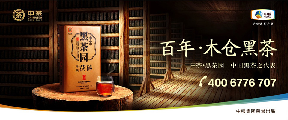 图片8