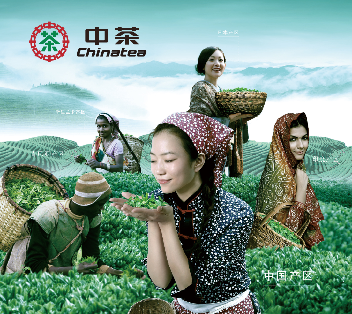 中 茶