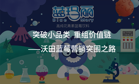 突破小品类，重组价值链——沃田蓝莓营销突围之路