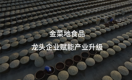 金菜地食品：龙头企业赋能产业升级