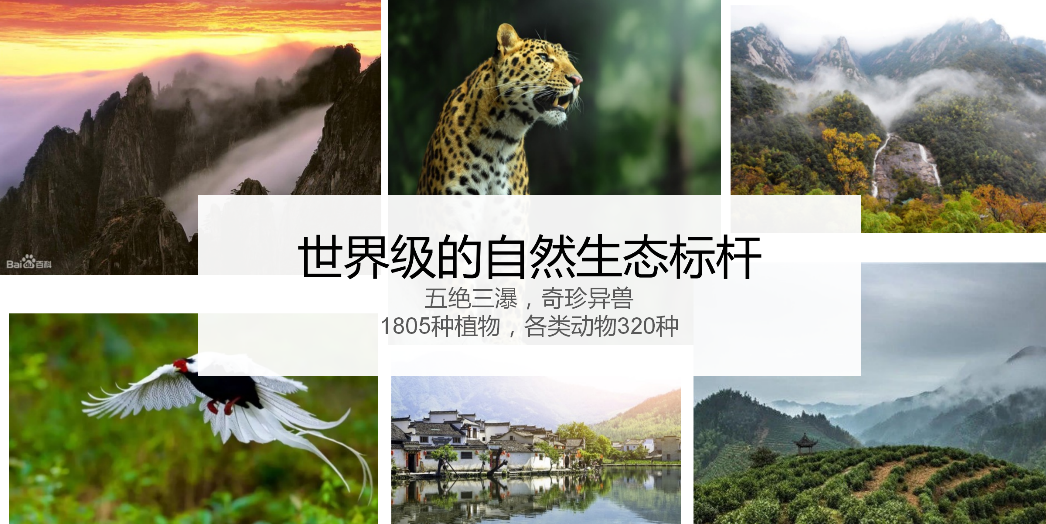 理性和感性结合